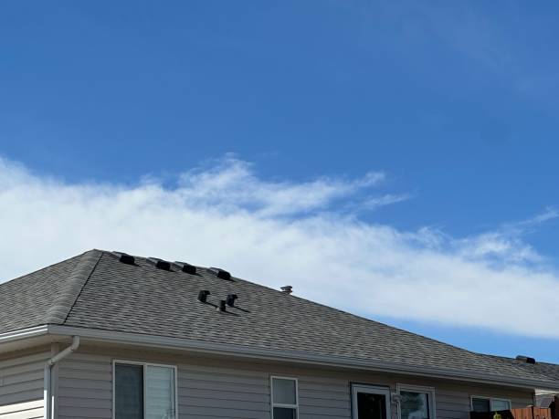 Best Cold Roofs  in North Canton, OH